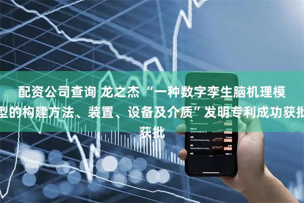 配资公司查询 龙之杰 “一种数字孪生脑机理模型的构建方法、装置、设备及介质”发明专利成功获批