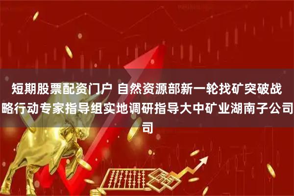 短期股票配资门户 自然资源部新一轮找矿突破战略行动专家指导组实地调研指导大中矿业湖南子公司