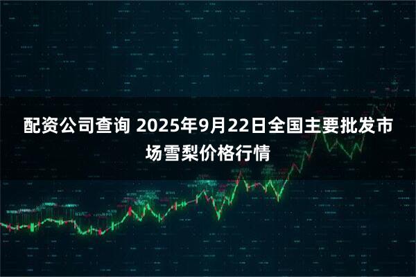 配资公司查询 2025年9月22日全国主要批发市场雪梨价格行情