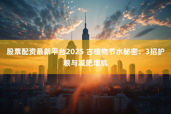 股票配资最新平台2025 古植物节水秘密：3招护粮与减肥增肌